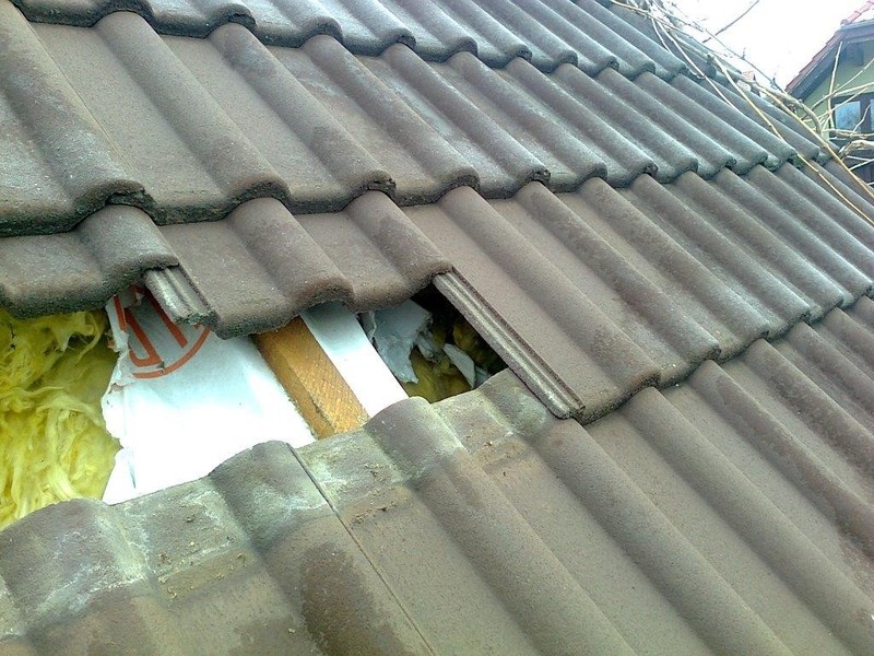 Marderschaden an Haus, Dach oder Dämmung